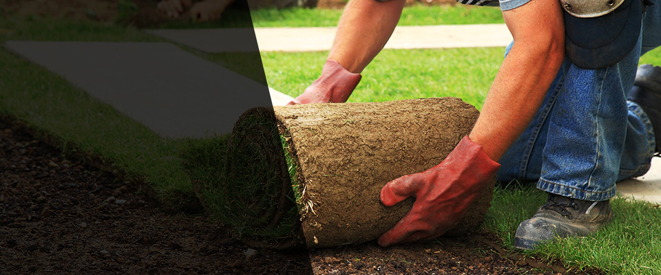 Eagle Grove Landscapers
